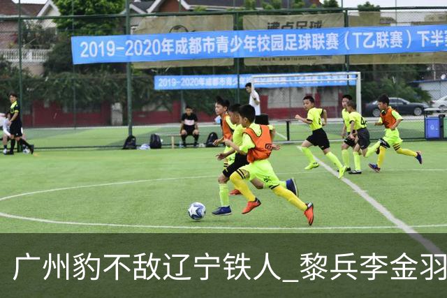 广州豹不敌辽宁铁人 黎兵李金羽斗法 然后惺惺相惜